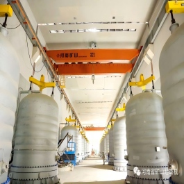 Clean and explosion-proof crane for Hongyuan Energy polysilicon project