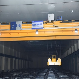 8+8t Smart Warehousing Cranes for Agricultural Applications
