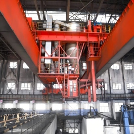 Multi Function Overhead Cranes